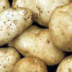 Potatoes 5 lb - $3.99, 10 lb - $5.99, 50lbs - $21.99 (50lb Potatoes Add $10.00 additional shipping per bag) Pontiac Medium maturing red potato.
