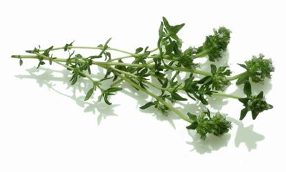 Spit-roast aromatic herb mix, Thyme & Green chives s Spit-roast aromatic herb mix (for filled