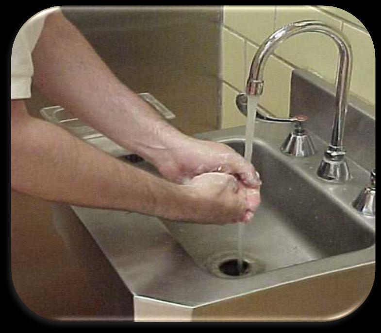 HANDWASHING PROCEDURE STEP 3 Rub hands together for at least 20 seconds.