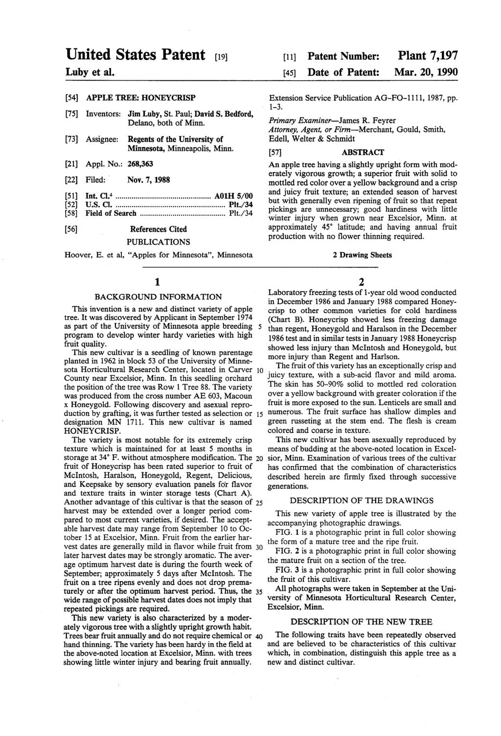United States Patent (19) Luby et al. 11 45) Patent Number: Date of Patent: Plant 7,197 Mar. 20, 1990 54 APPLE TREE: HONEYCRISP 75 Inventors: Jim Luby, St. Paul; David S.