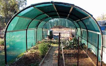 It is very important to keep the shadehouse clean so that disease doesn t grow and get into the plants.