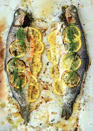 2 whole rainbow trout (1 to 1½ pounds each), cleaned and gutted 2 tablespoons olive oil 1 lemon, thinly sliced Herbs (dill, thyme, tarragon, parsley, or whatever you have on hand) 1 small onion,