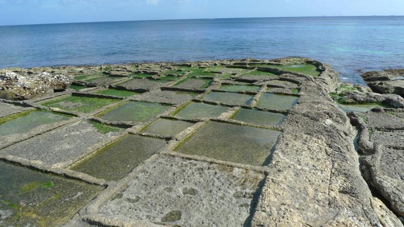 Unfortunately when in 1979 a harsh storm damaged badly the Salina Bay salt-pans, salt production in Malta declined drastically.