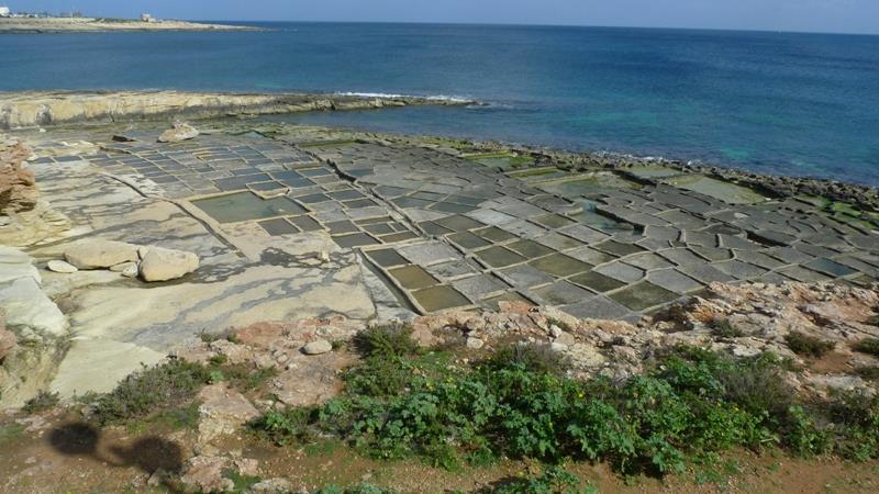 workers in almost all stages of production) as is the case of the Darmanin family at the salt-pans in Marsascala.
