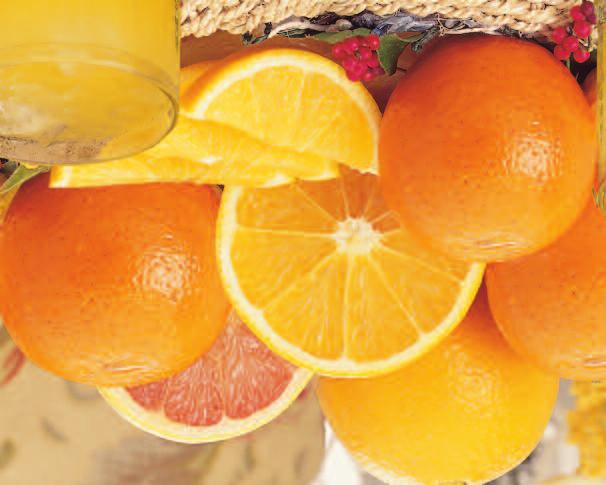 In fact, it s often described as Florida s best eating Orange.