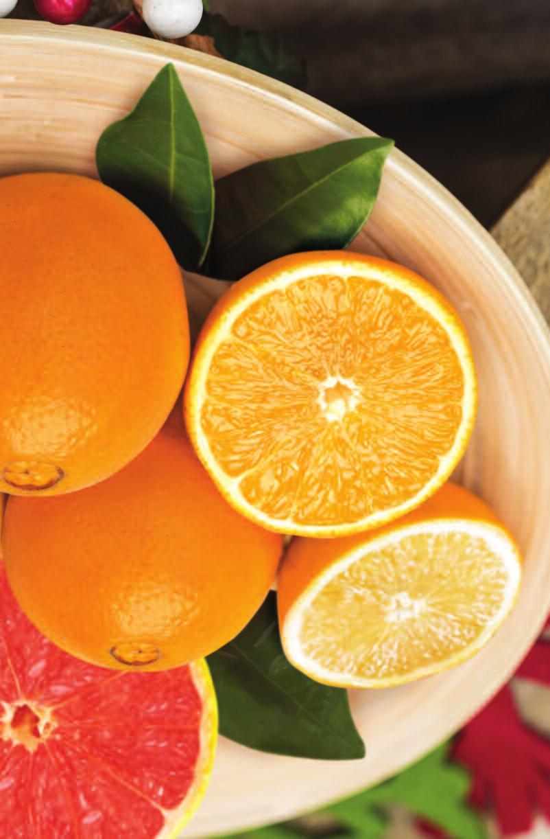 Discover Florida s Sweetest Gifts! 1 8 Bushel Approx. 8 lbs. 5-6 Oranges & 2-3 Grapefruit 1 2 Bushel Approx. 20-25 lbs. 12-16 Oranges & 8-10 Grapefruit PACKAGE SIZE GUIDE 1 4 Bushel Approx. 10-12 lbs.