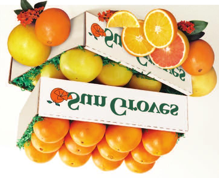 24-32 Oranges & 16-20 Grapefruit Navel Oranges & Ruby Red Grapefruit A Sun Groves Favorite! Welcome this special time of year with our best-selling gift!
