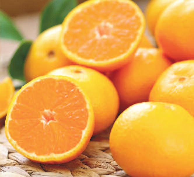 Autumn Tangerines Pack Pack Tangerines & Navels Size Price #5U #5NU 1 8 Bushel $38.99 #10U #10NU 1 4 Bushel $42.