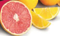 Additional Varieties Available, Call About Our Page Oranges & Tangelos! 6 Kisses From The Tropics A Taste Of Paradise!