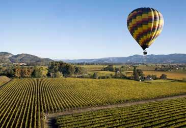 off-site activities More than 400 wineries The Culinary Institute of America at Greystone Hot-air ballooning Shopping Art galleries Horseback riding Bicycling through the vineyards Olive oil tours