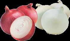 RED OR WHITE ONIONS  1.