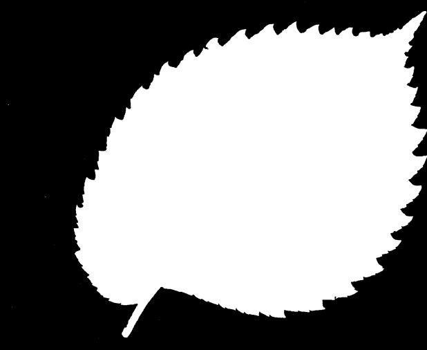 ) /Invasive Leaf shape variable (see pg.