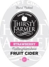 Thirsty Farmer 20lt Bag in Box Ciders 2 x Thirsty Farmer Strawberry Thirsty Farmer has been combined with delicious strawberries to create a craft cider with a hint of summer.