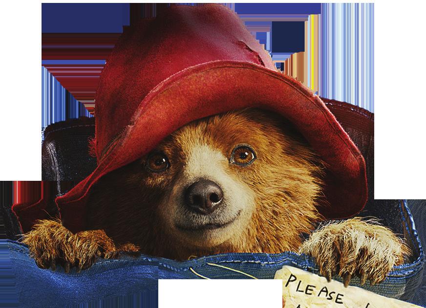 WELCOME! Paddington may have traveled from darkest Peru to the hustle and bustle of London, but you can join in on his adventures right from your living room by hosting a Paddington Party!