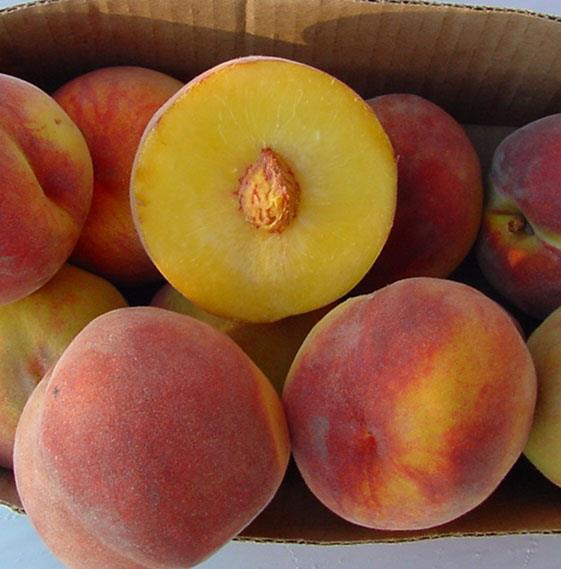 Peach Flesh Types Melting flesh focus Juicy Shipping