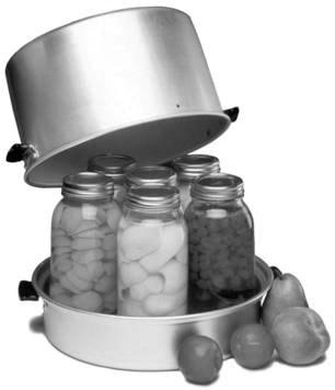 STEAM CANNER Instruction Manual Register this and other Focus Electrics products through our website: