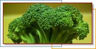 Green Trees in a Broccoli Forrest Materials: 1. 1 medium size bowl 2. 1 cutting board 3. 1 knife 4. 4 plates Servings: Serves 4 people : 1. 2 carrots, peeled 2. 3 cups broccoli florets 3.