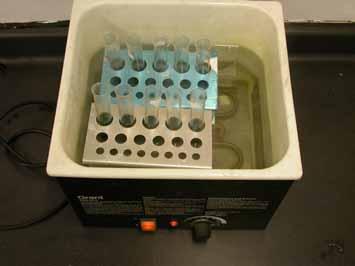 3. All the boiling tubes were placed on the test tube holders.