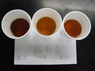 Iron Buddha tea ( 鐡 ) Luk