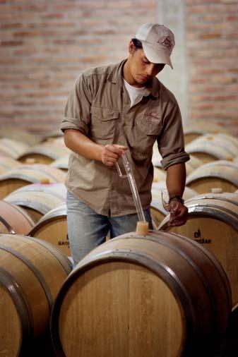 The grapes for our Reserva wine are carefully selected and the wine is aged in barrel to add toasted and vanilla notes.