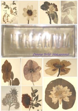 Herbarium and Villa today: