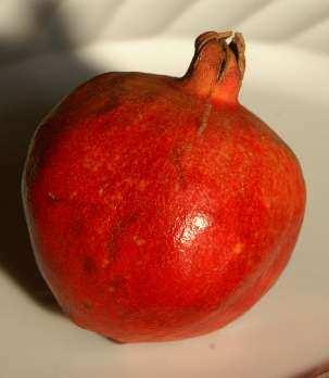 pomegranate fruits. www.hort.