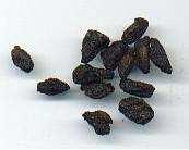 Figure: 11 Dried Pomegranate Pulps (gourmetsleuth.
