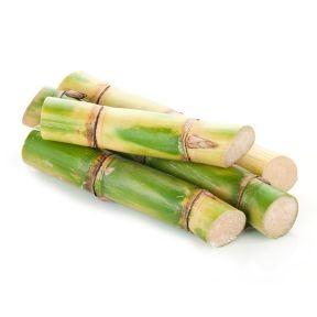 DATA SHEET SUGAR CANE Belongs to the grass family, formed by stout fibrous stalks.