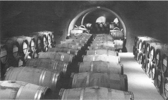 INFLUENCE OF ENVIRONMENT - Wine evaporation from barrels By Richard M.