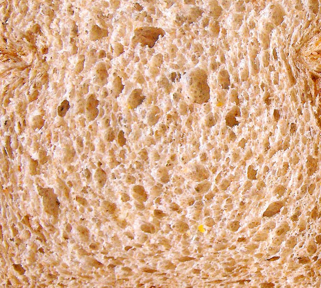 USE YOUR LOAF 20 million loaves of bread are thrown away in New Zealand every year!