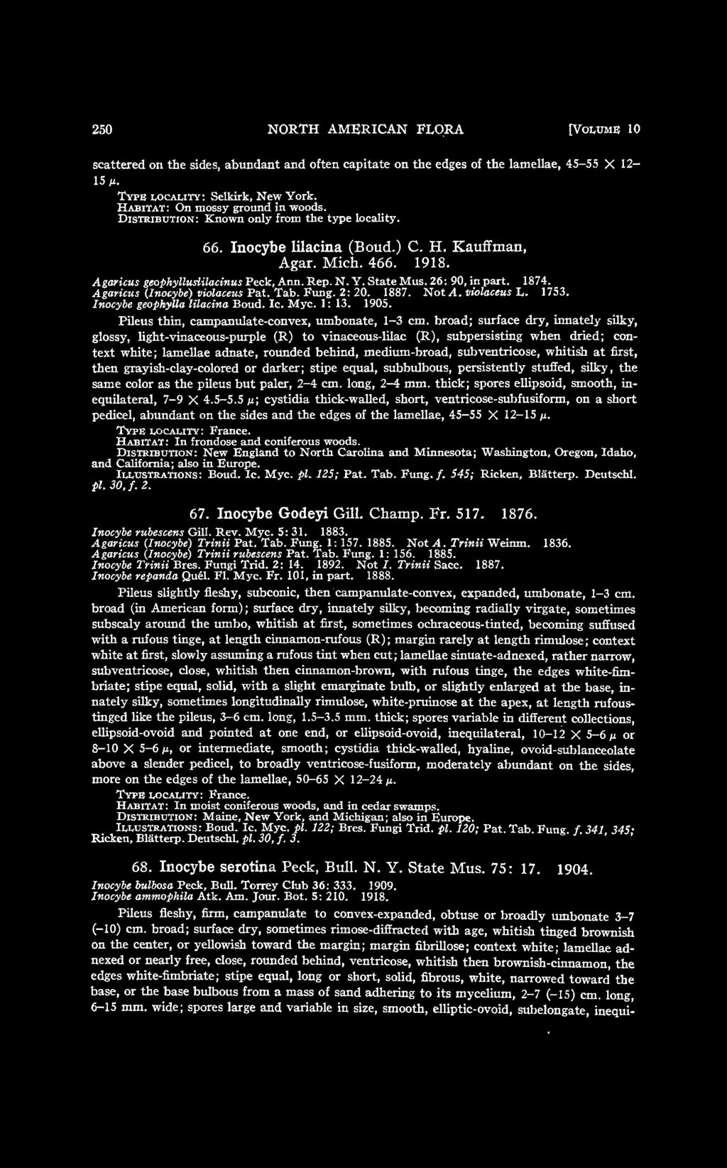 Agaricus (Inocybe) violaceus Pat. Tab. Fung. 2: 20. 1887. Not A. violaceus L. 1753. Inocybe geophylla lilacina Boud. Ic. Myc. 1: 13. 1905. Pileus thin, campanulate-convex, umbonate, 1-3 cm.