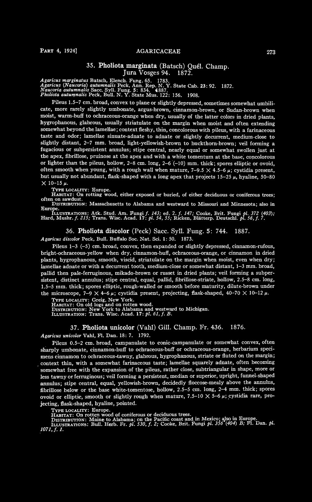 PART 4, 1924] AGARICACEAE 273 35. Pholiota marginata (Batsch) Quel. Champ. Jura Vosges 94. 1872. Agaricus marginatus Batsch, Elench. Fung. 65. 1783. Agaricus (Naucoria) autumnalis Peck, Ann. Rep. N.