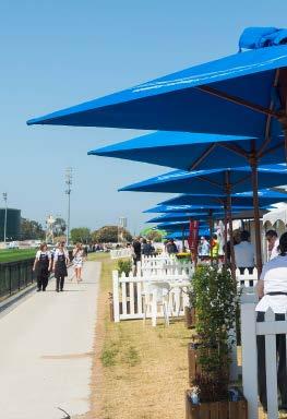 Home Straight Enclosure Gourmet Buffet Party Marquee: $110 pp (Minimum 50 people) Get a group of friends, clients or work colleagues together and experience all the thrills of racing in your