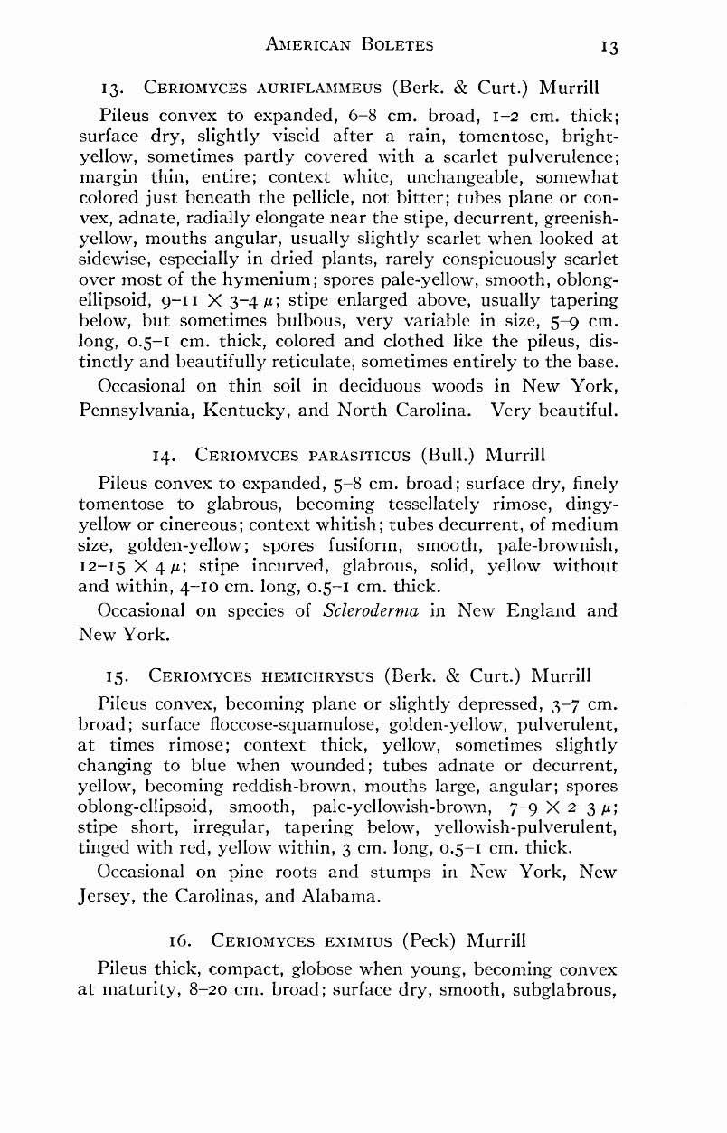 AMERICAN BOLETES 13 13. CERIOMYCES AURIFL,UnIEUS (Berk. & Curt.) Murrill Pileus convex to expanded, 6-8 em. broad, 1-2 em.