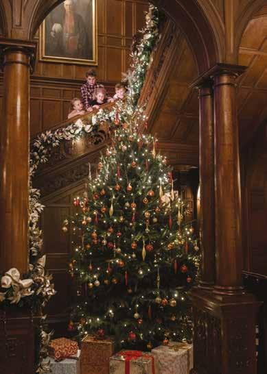 NOVEMBER DECEMBER CHRISTMAS CELEBRATIONS AT TYLNEY HALL FESTIVE DINING Saturday 1st Sunday 23rd December Enjoy a Traditional Christmas Fayre Luncheon or Dinner in our award winning Oak Room