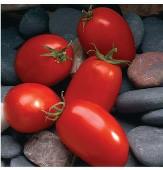 Disease Resistant: VF, TMV. Indeterminate. TM511 20 Mariana Tomato 74 days. Solanum lycopersicum. (F1) Early maturing plant produces high yields of 4 to 6 oz bright red tomatoes.