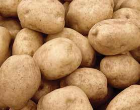 Bulb Sleeve Yukon Gold Potatoes