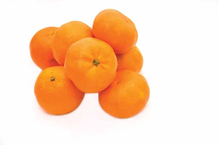 Bag California Seedless Navel Oranges
