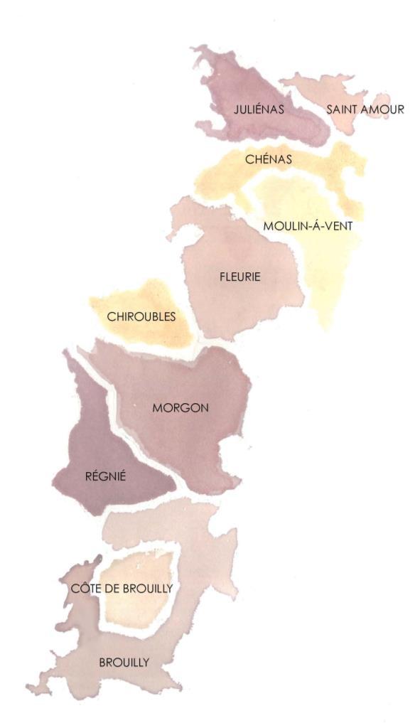 Cru Beaujolais Rouge It would behoove us all to pay more attention to the region of Beaujolais. The Crus of Beaujolais produce wines that are rich yet approachable.