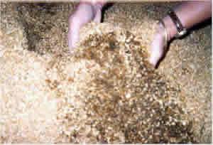 The photo below shows some grain mix that looked fine on top but did not smell right. When I buried my hands into it I found it was hot to feel.