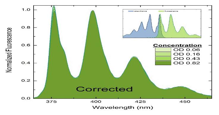Red emission light is diminished due to reabsorption of emitted fluorescent light. Figure 2 shows spectral consequence of the inner filter effect.