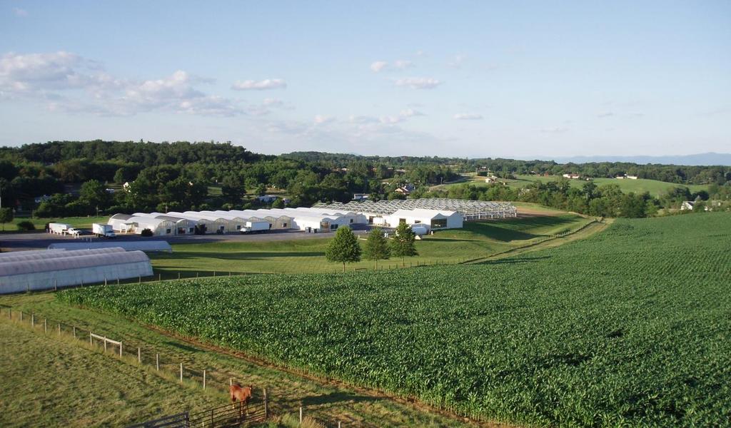 Cros-B-Crest Farm Wholesale Greenhouse Production Serving Virginia, Maryland, and