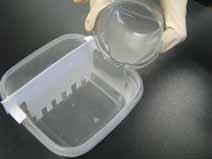 Step 5 Pour the agar into the corner of the plastic container until the level of the agar solution reaches the