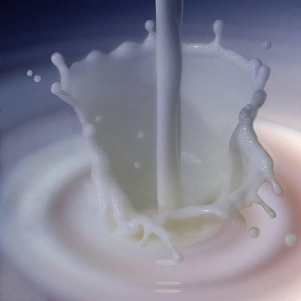 Preparing Dairy Foods Many dairy products may be eaten uncooked When cooking: Use