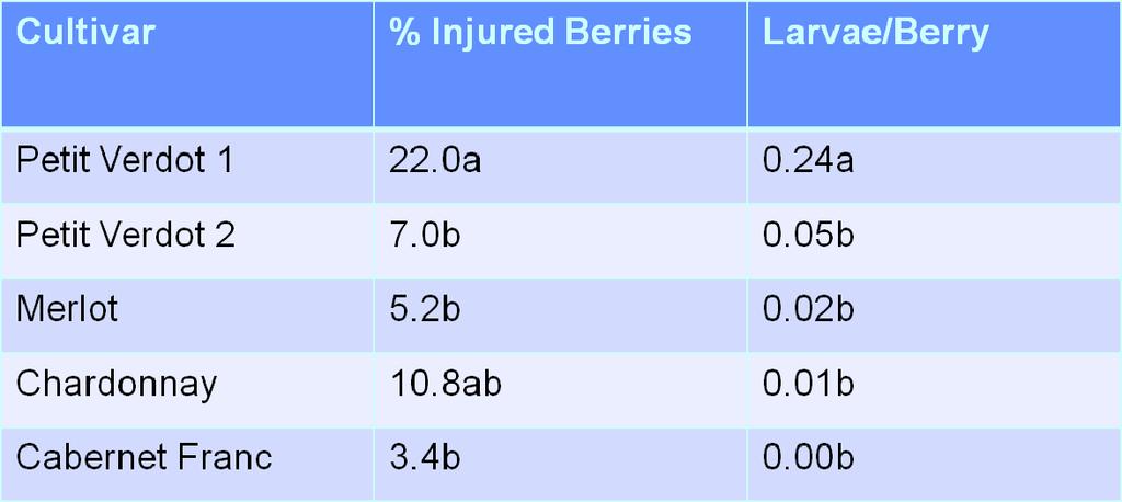 In the following tables, % injured berries includes any factor that causes shriveled berries.