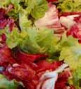tossed garden salad Mixed greens including romaine, leaf, iceberg and radicchio topped with cucumber and tomato, and