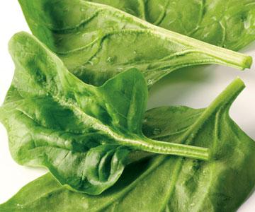 Trimming and Washing Fresh spinach has sand trapped in the leaves and stems. Be sure to wash it well before eating.