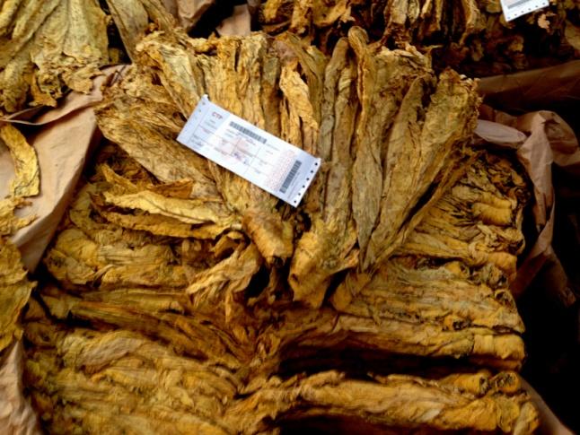 not be used other than for an insight into the market from a Chidziva Tobacco
