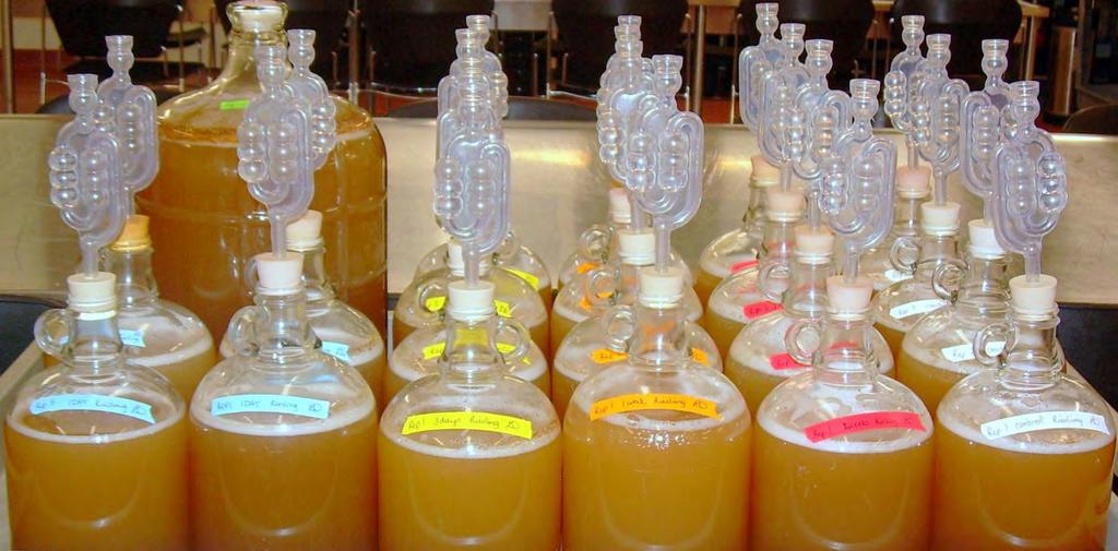 Effects of KMS on Vinification Fermentations