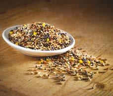 Seed, Linseed, Rapeseed Oil,  minerals